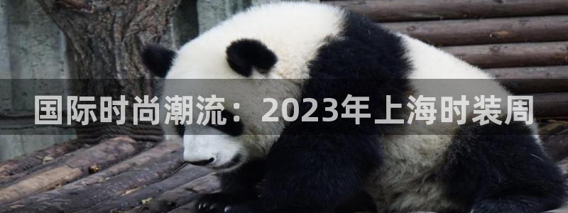 意昂体育3招商电话号码是多少号