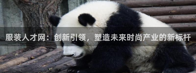 海南意昂体育3发展怎么样