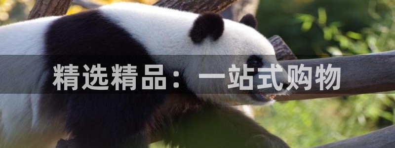 意昂体育3招商电话地址查询