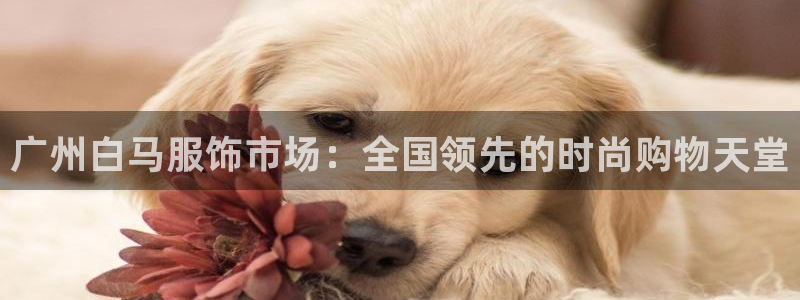 意昂体育3招商电话是多少啊