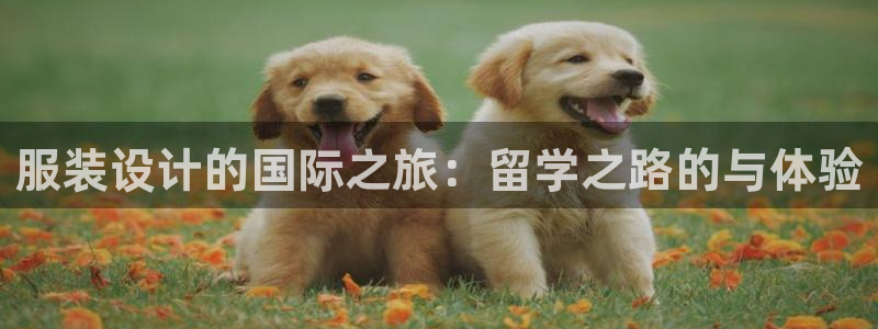 意昂3集团简介