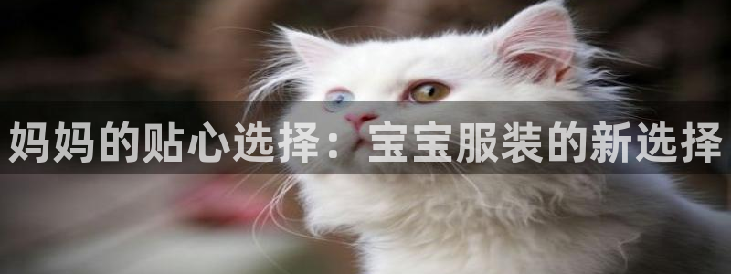 意昂体育3招商电话号码是多少号