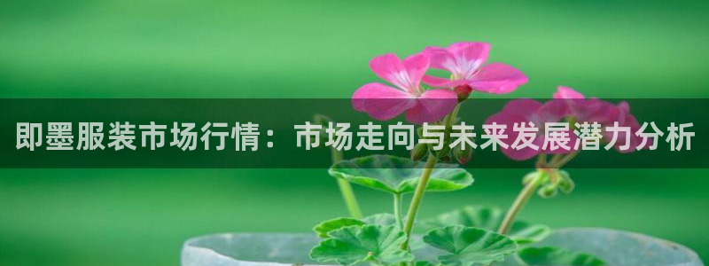 意昂3新能源
