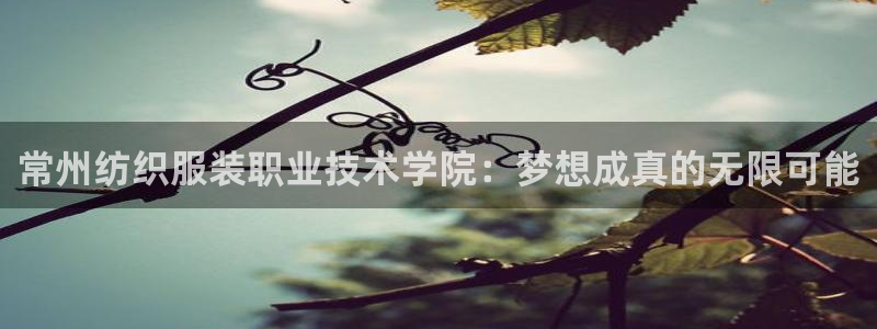意昂体育3平台是正规平台吗