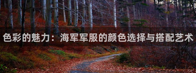 意昂3集团E.ON：色彩的魅力：海军军服