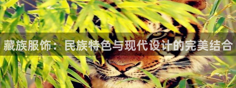意昂体育3联系电话