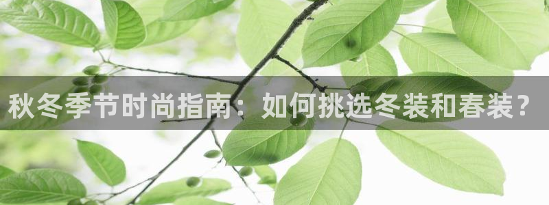 意昂体育3平台假的吗是真的吗吗