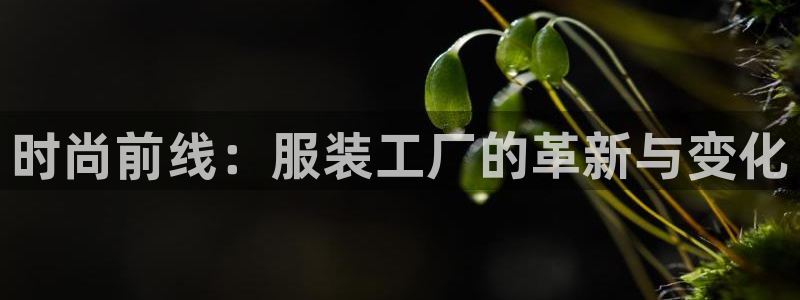意昂体育3招商电话号码查询是多少